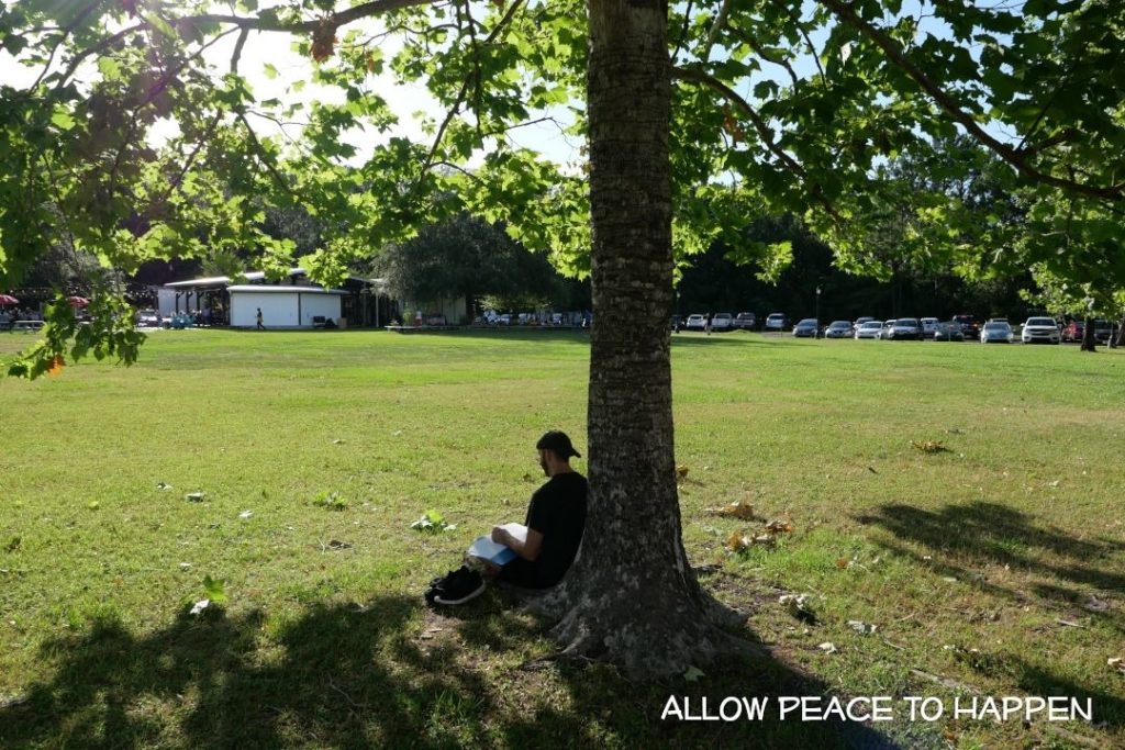 One Love Frisbee at Magnolia Park One Love Frisbee at Magnolia Park
